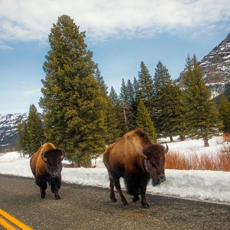 Top US National Parks To Visit this Winter